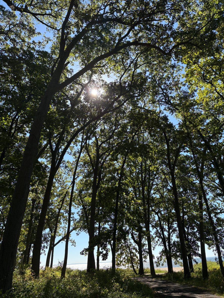 Find your grace. Seek inner patience. Practice kindness. Be respectful to yourself, everyone you encounter, and all the creatures on the planet.  

Sherwood Island, CT.