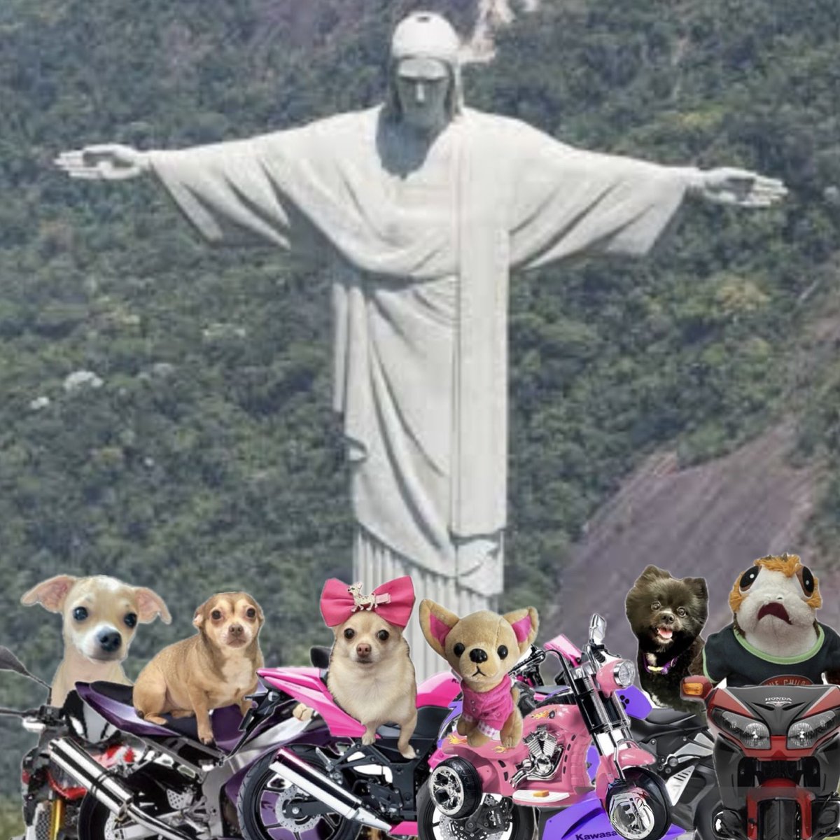 The Tater Tots in Rio at Christ the Redeemer statue.  It is one of the New 7 Wonders of the World.  Now who wants to climb to the top with me to see the view?
#RuffRiderz