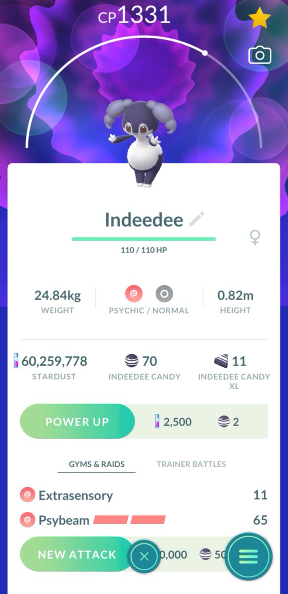 dj_higuma's tweet image. I've hatched male and female #Indeedee in #PokemonGo! Gotta catch 'em all!