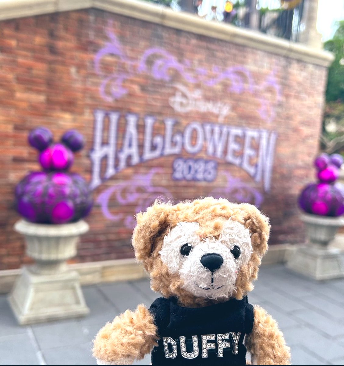 ダッフィー大好き様 DUFFY✖️DUFFY (@DUFFYDUFFY1221) / Posts / X