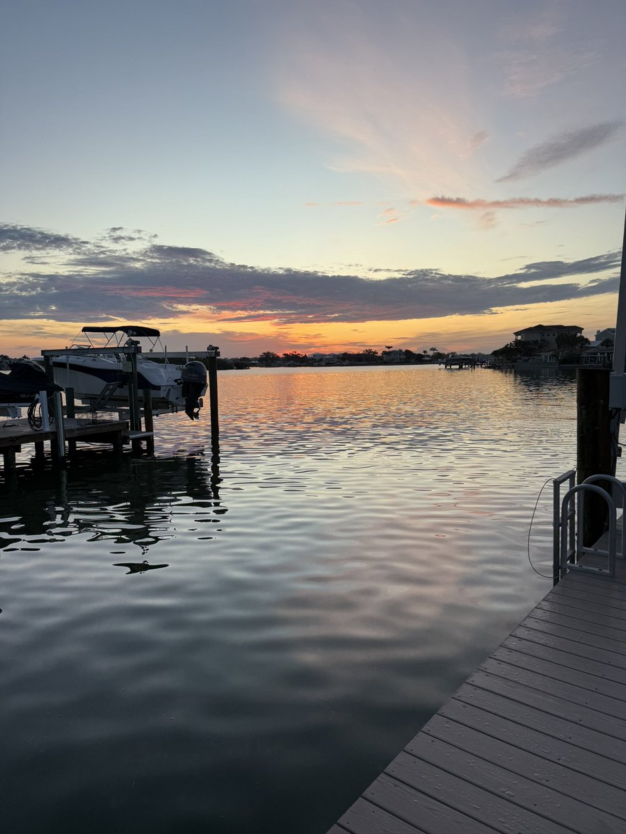 shane_dimora's tweet image. backyard sunrise 🌅