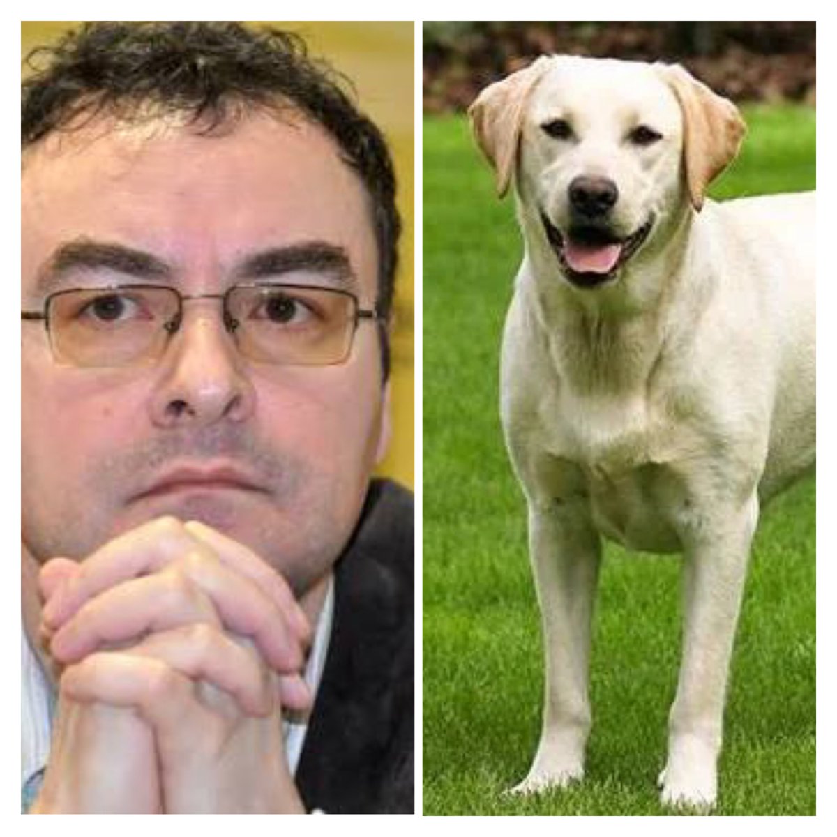 Da ne bude zabune slika levo je Jovo Bakić .