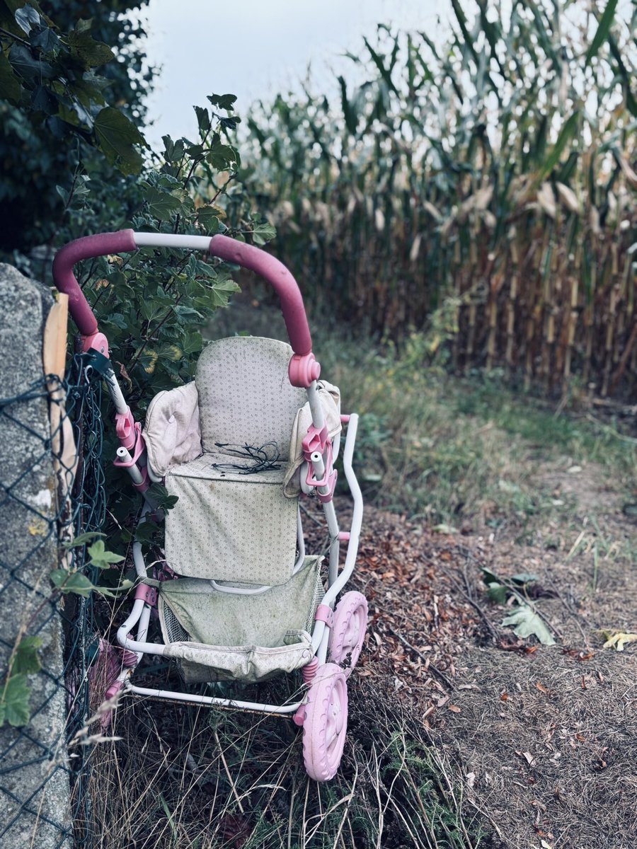 Seen while walking in the field... creepy.

#creepy #scary
