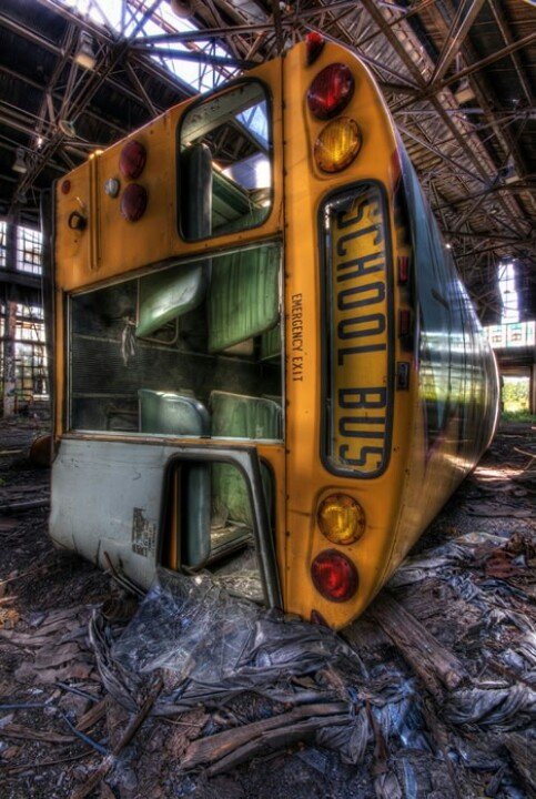 Eli Hale tweet media