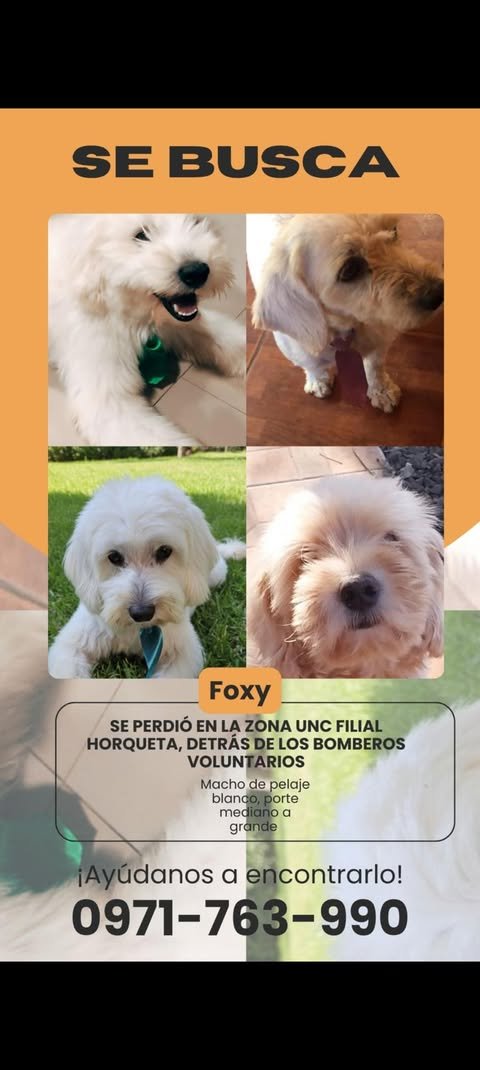 Nderakoreami (@nderakoreami_) on Twitter photo 