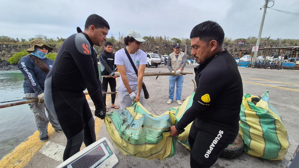 Comunidad de Galápagos y Guardaparques se unen para jornada de limpieza costera

Este 20 de septiembre realizamos una nueva #LimpiezaCostera2025 en 4 islas del archipiélago, demostrando que juntos podemos proteger nuestro entorno.

🔹 19 sitios intervenidos (Santa Cruz, Baltra,