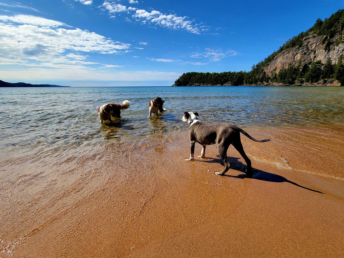 AWyattp's tweet photo. Hiking and beach days with friends https://t.co/lqLiahY0vp