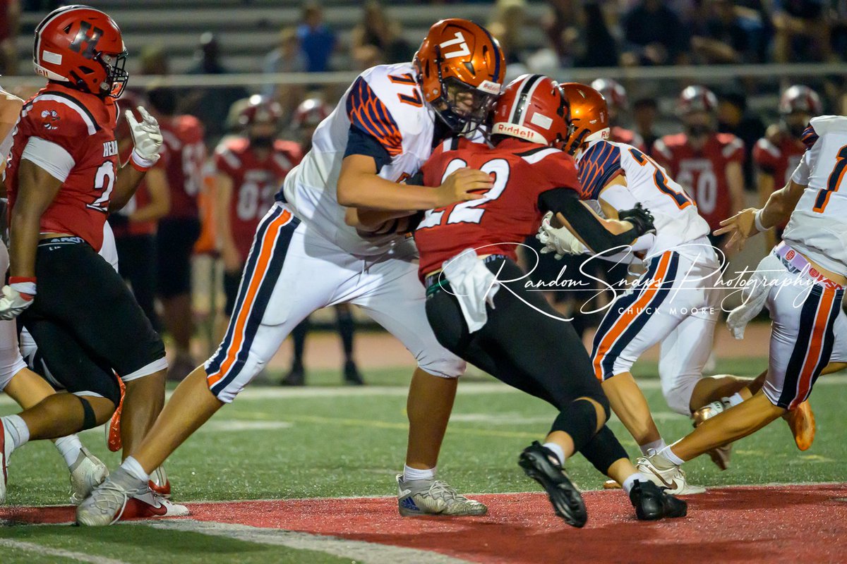 Random Snaps Photography tweet media