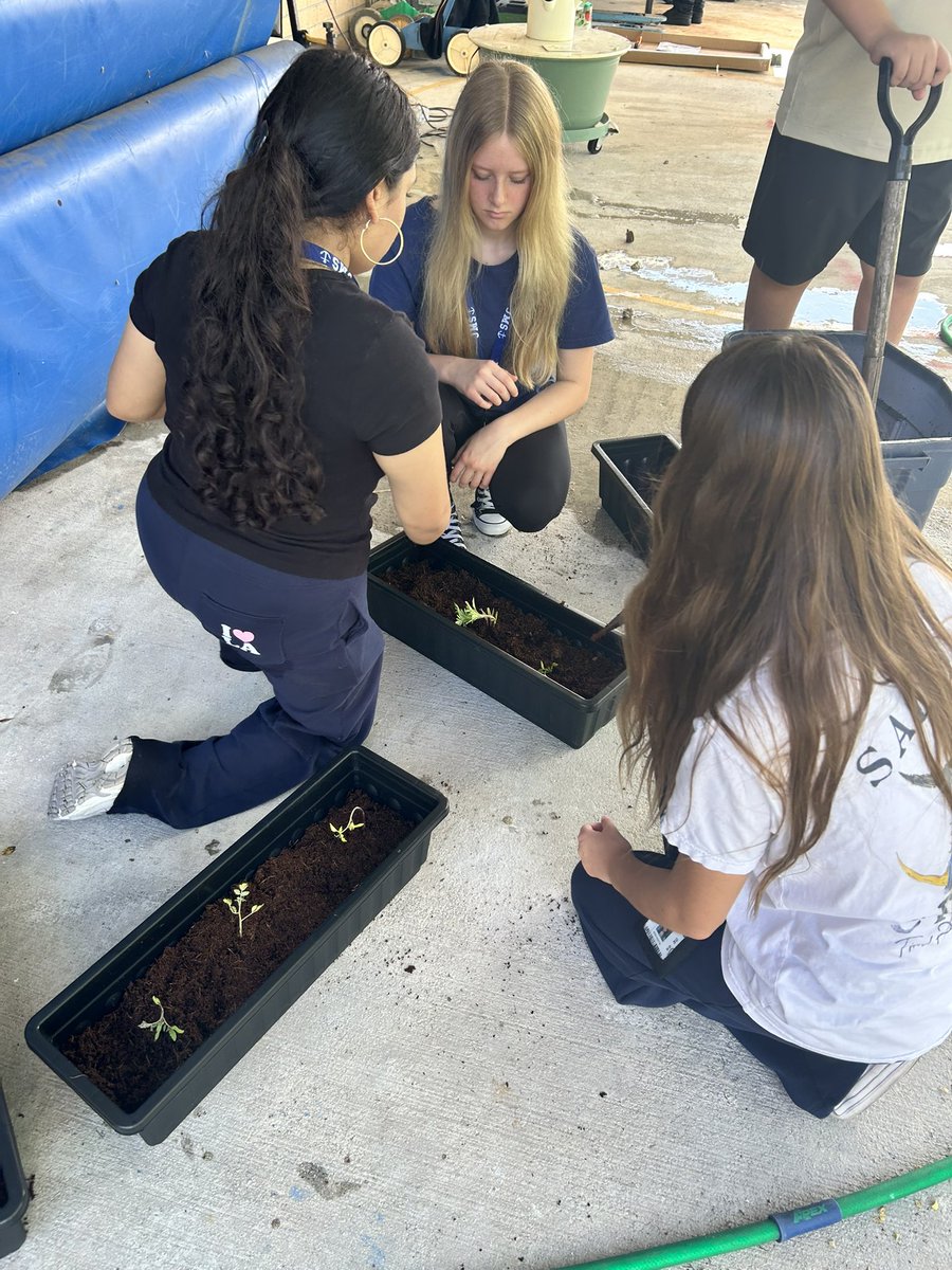 Ms. Kate Strein tweet media