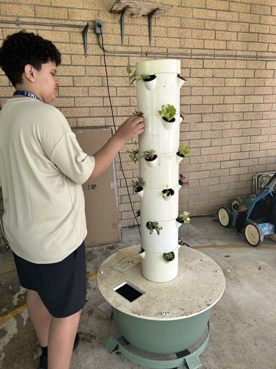 Ms. Kate Strein tweet media