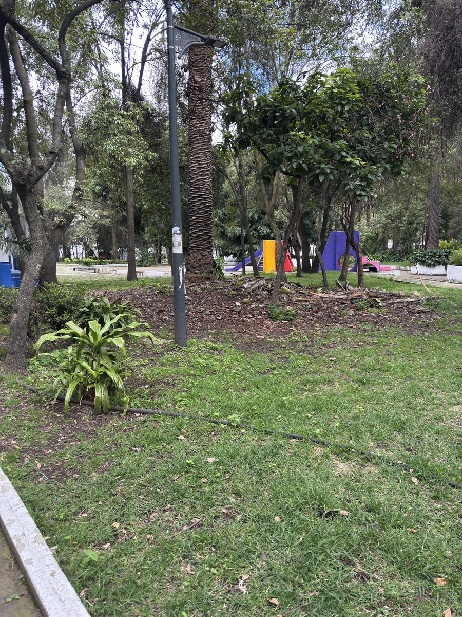 isabellabrant's tweet photo. @AlessandraRdlv por favor haz algo por el
Jardín Ramón López Velarde. No hay juegos infantiles y las dos reabaladillas están llenas de adolescentes fumando marihuana y llenos de basura https://t.co/QCPI7HjFqw