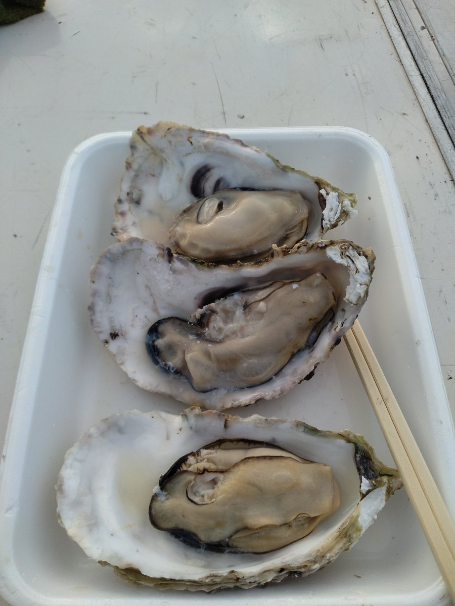 THXBWNMDYT's tweet photo. 八戸館鼻朝市に初めて行ってきました。私は、５時半頃の到着でしたが、たくさんの店がありました。
人は思っていたより少なかったので歩きやすかったです。 https://t.co/qKDvMyY2v7