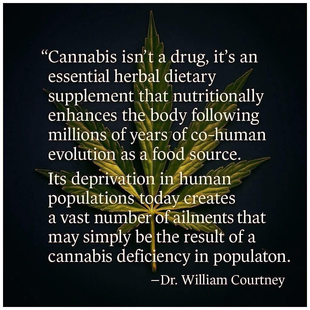 godssniperoftru's tweet image. TRUTH about a Genesis 1:29 Sacred herb called; Cannabis/Hemp is a Medicine, a Food, 💯 Nutrition, for Textiles, Clothing, Lumber, HempCrete, Paper, Fuel, etc… 50,000 products and growing! Now YOU know why!