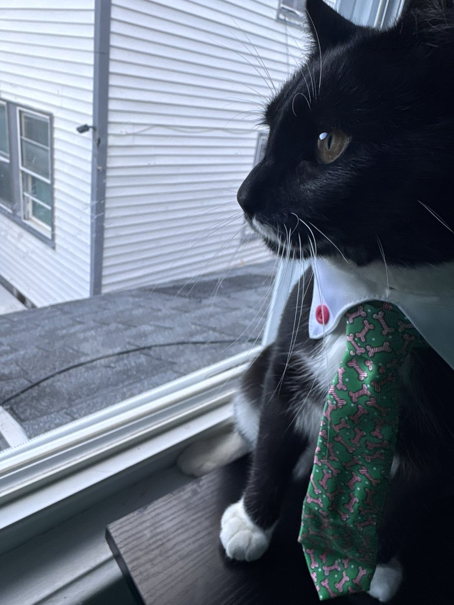 christia tweet media