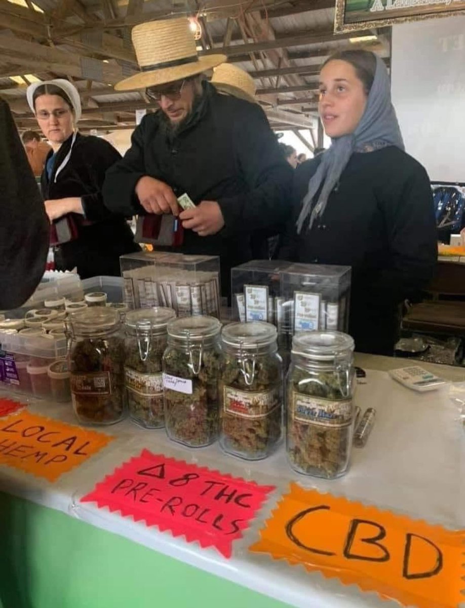 thinking about amish weed, this will probably still make u laugh instead of paranoid