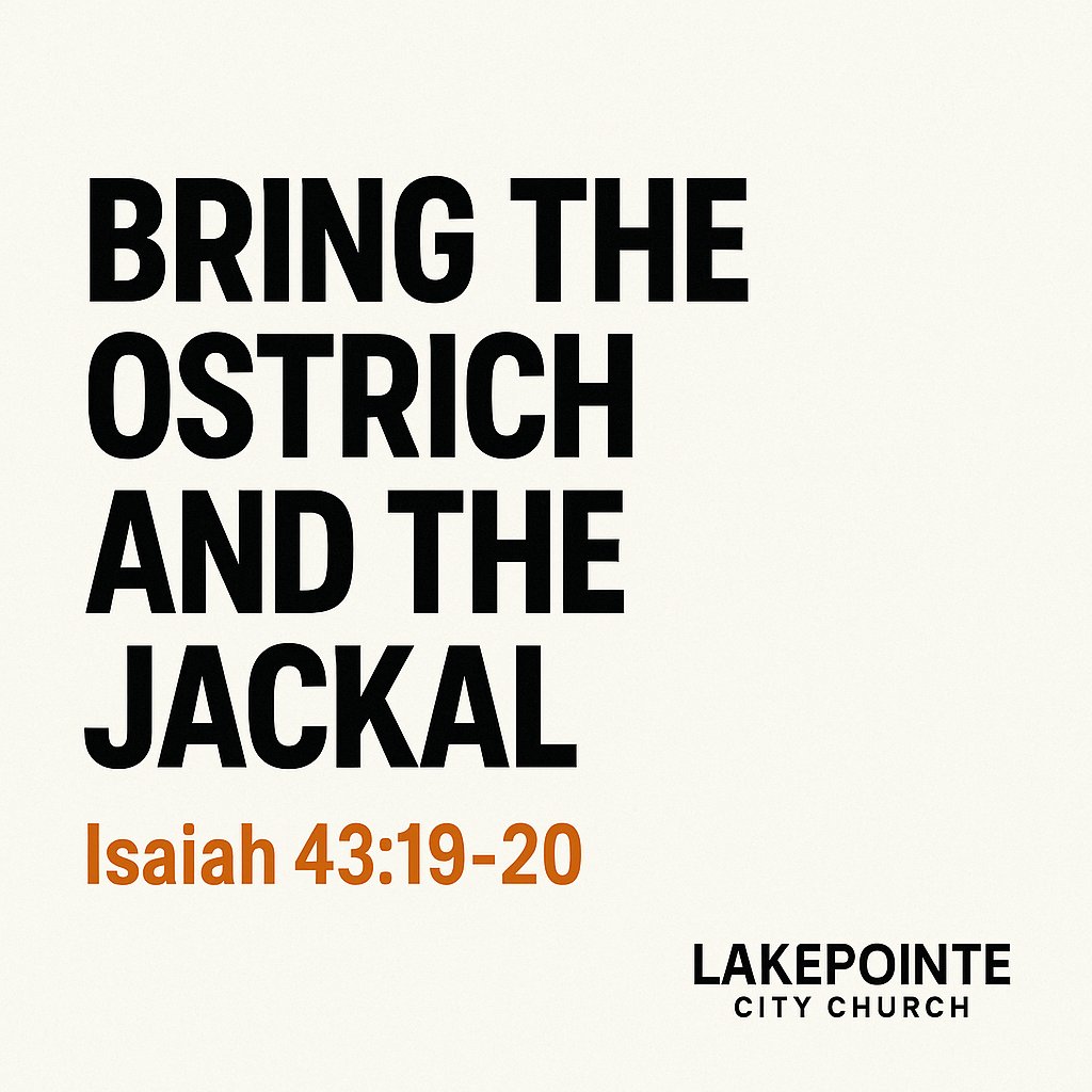 It's time to bring the ostrich and the jackal home!