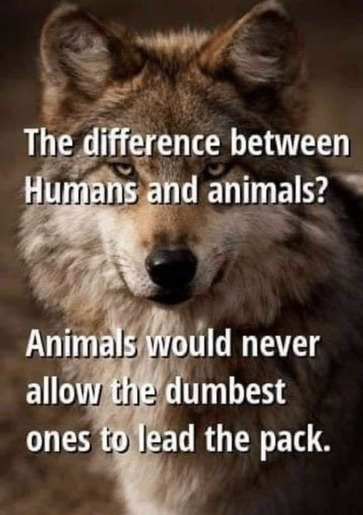 This is so true! 👇👇👇👇