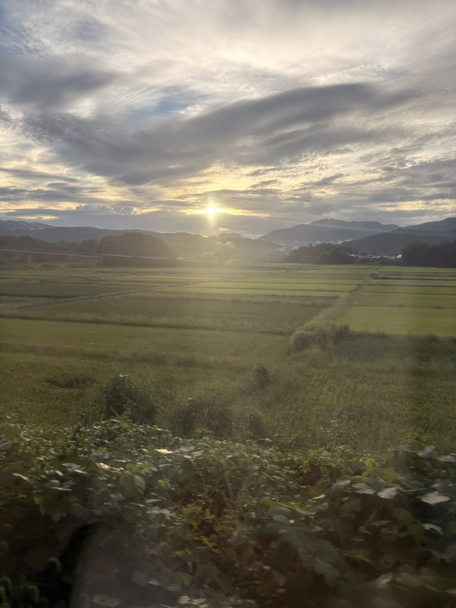 #フーデリー のバインミー片手に鹿児島へ!
（最高の朝食）

ずっと行きたかった薩摩会議に行かせてくれた家族よ、ありがとう〜