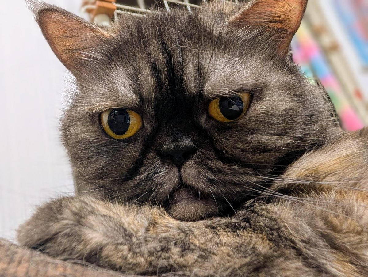 サルヴァトーレ(トト)=田中 (@arty_sax) on Twitter photo おはようございます🍀
今日はお休みですがこの後、9時から健全なリハ→音楽友達とランチミーティング→夕方からのちょい不健全なリハのカツカツな1日(笑)…だからどうしてこうなった😅
とまれ、来月のライブに向けて今日も楽しくヒャッハーして参ります(`・ω・´)ゞ
皆さまも良い休日を❗😆 おはようございます🍀
今日はお休みですがこの後、9時から健全なリハ→音楽友達とランチミーティング→夕方からのちょい不健全なリハのカツカツな1日(笑)…だからどうしてこうなった😅
とまれ、来月のライブに向けて今日も楽しくヒャッハーして参ります(`・ω・´)ゞ
皆さまも良い休日を❗😆