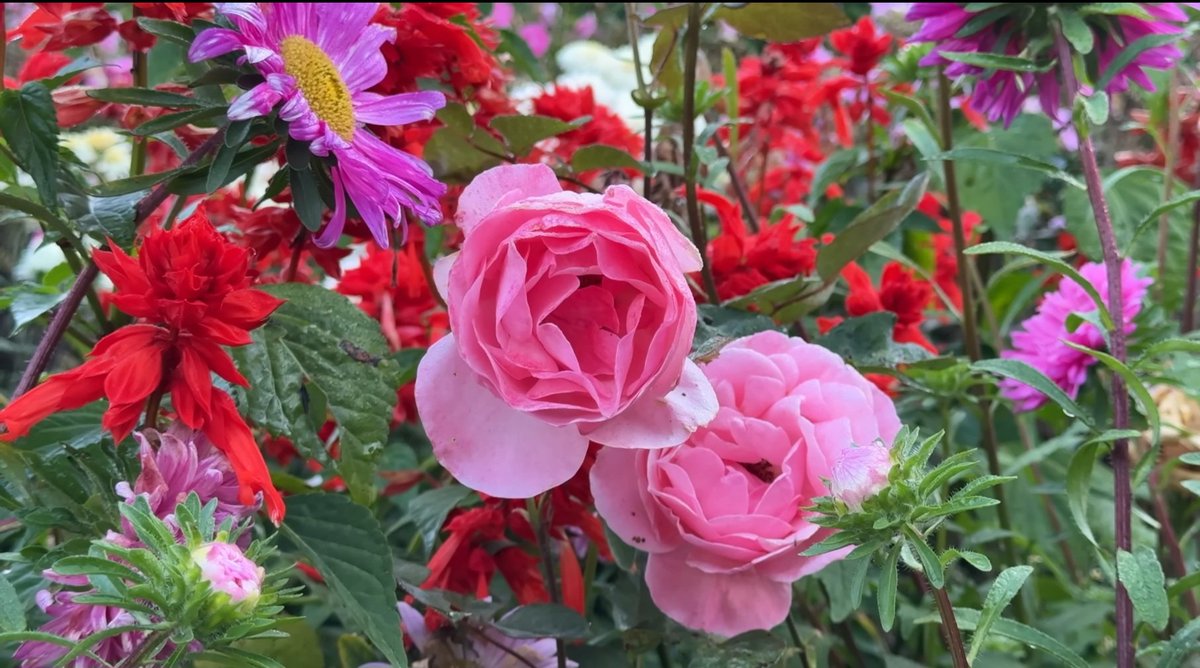 오늘도 ~새미래민주당 파이팅 🦁 🐬 🩵