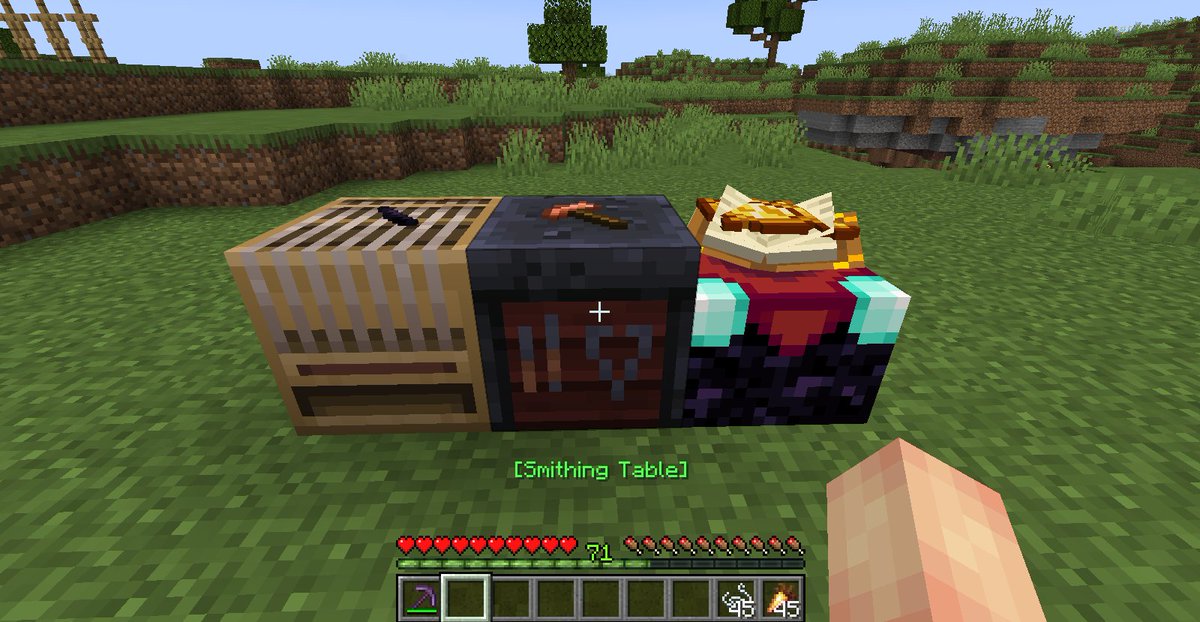 DatapackGen's tweet image. #datapack #minecraft #vesture