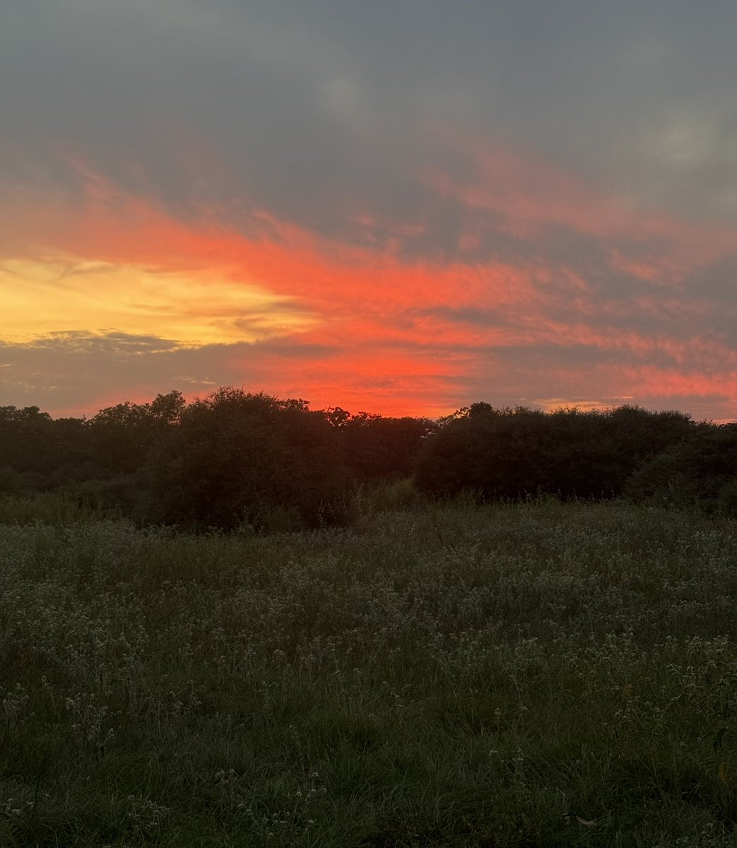 Last evening’s intense sunset &amp; Cantine di Ora 2020 Amicale Rosso Veneto Italy 🇮🇹 wine 🍷 notes: this wine won more awards than my wife has letters after her name 😁 / flavors of black cherry &amp; cocoa make for a pleasantly slow sipper with an unexpected dry lingering finish #yum