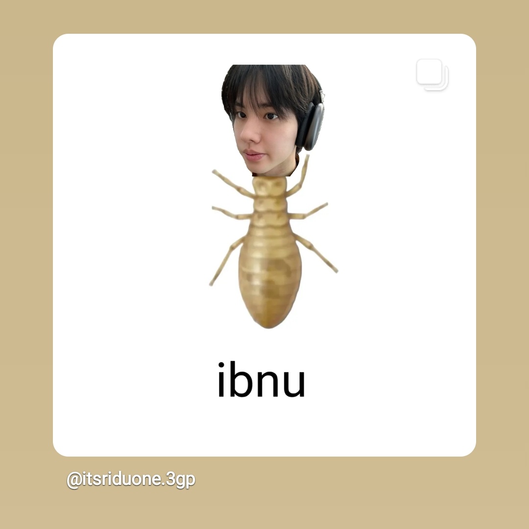 miss ibnu tweet media