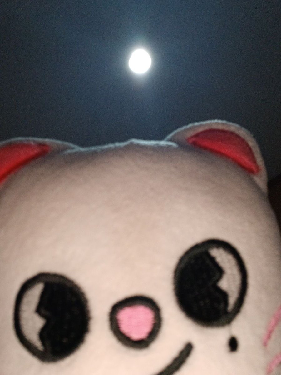 jiniret_ferret's tweet image. i think i&apos;m shadowbanned