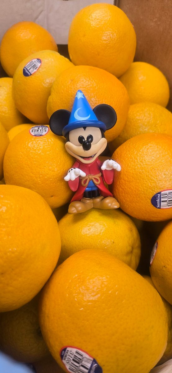 the_ghost_CM83's tweet image. Happy short staffed Saturday! I mean #funkosodasaturday 😆 🤣 
Mickey and I just cutting put orange segments for the new beet salad at Blue Bayou! Have a #funtastic day #funkofamily #funkocommunity @OriginalFunko