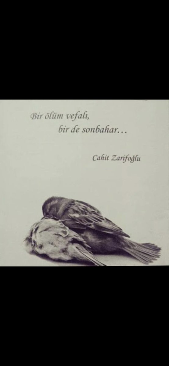 Eicetanbul's tweet photo. ... https://t.co/BlqfBhHm1k