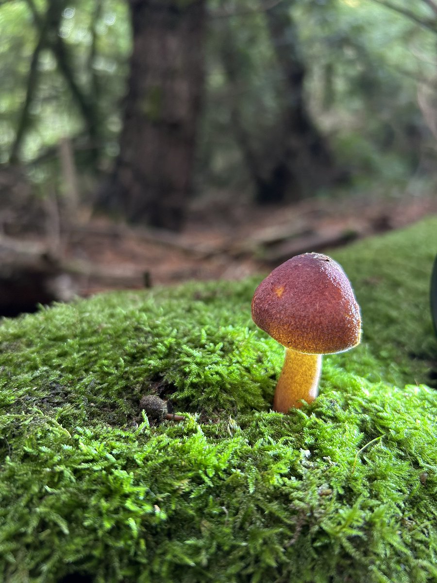 Jenny Patterson tweet media