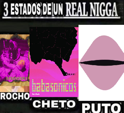 tortula3p tweet media