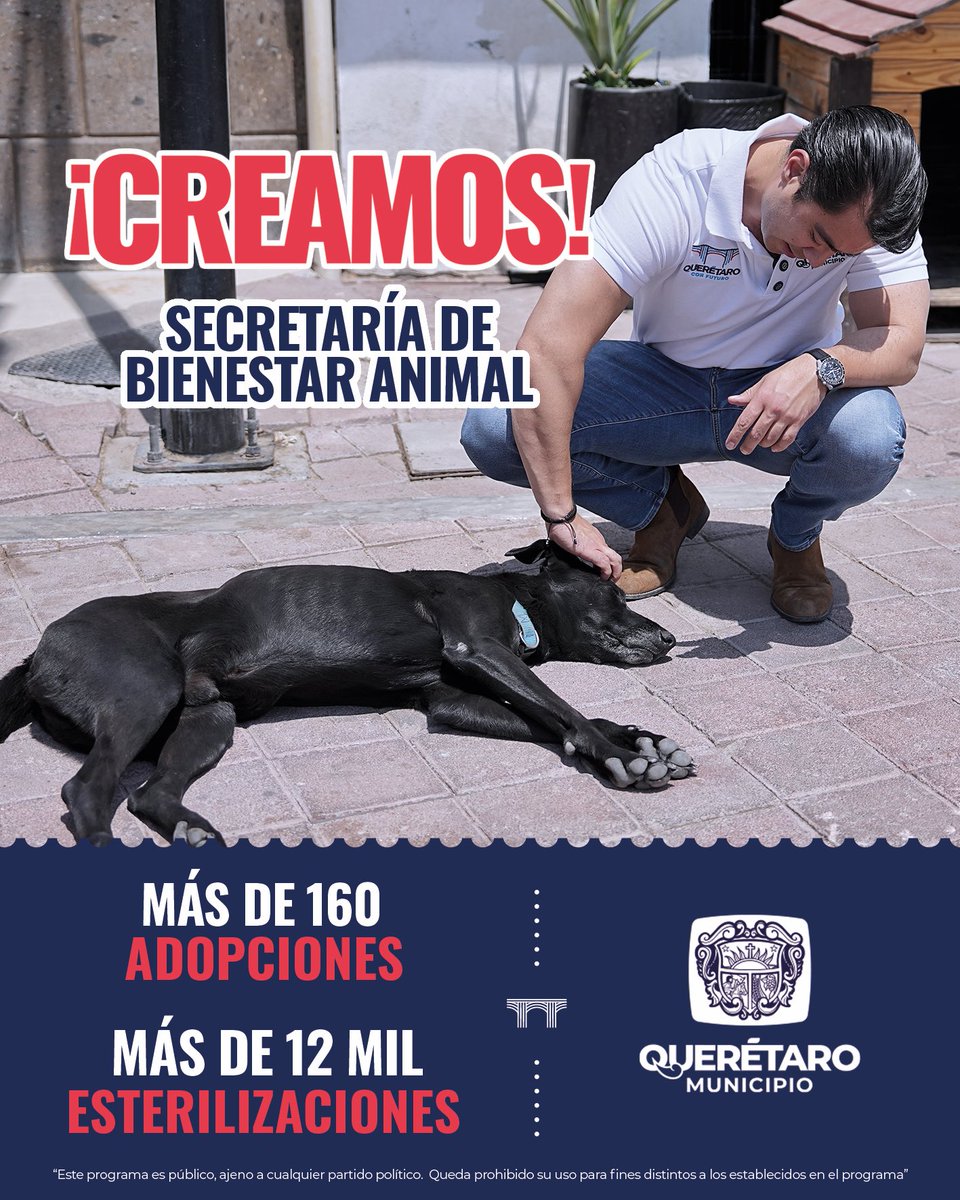 Creamos la primera Secretaría de Bienestar Animal🐾

En un año, realizamos más de 12 mil esterilizaciones y logramos más de 160 adopciones que transformaron vidas.

Cuidar de nuestros animales es también cuidar el futuro de Querétaro.

#CreamosFuturo
#PlanOrden