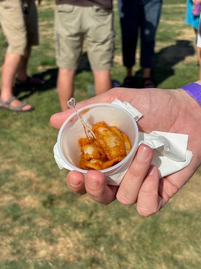 Congressman Seth Magaziner tweet media