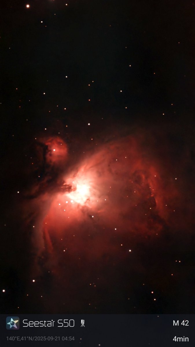 takku2's tweet image. 今朝、屋根からシースターでレモン彗星とオリオン座のM42。
#c2025a6lemmon #m42 #レモン彗星 #オリオン座 #彗星 #comet #はこだて天文宇宙クラブ #乙部町 #北海道 #uhbお天気チーム #seestar