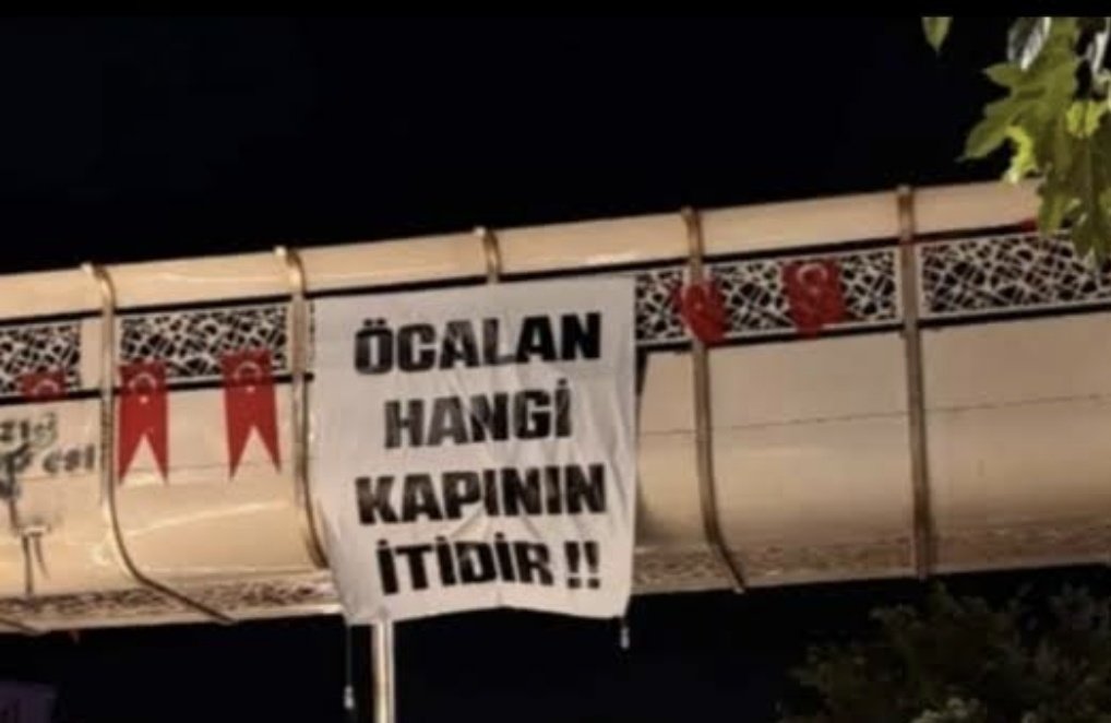 sinirlibirkedi (@kedivesinirli) on Twitter photo 