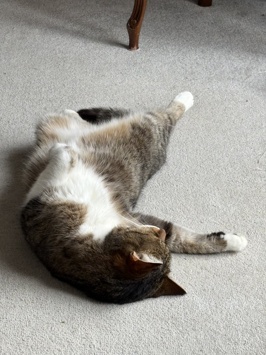 Lucy 🇪🇺💙 tweet media