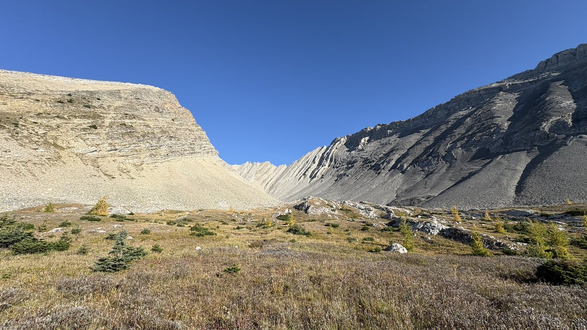 Tim Criddle tweet media