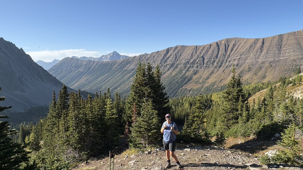 Tim Criddle tweet media