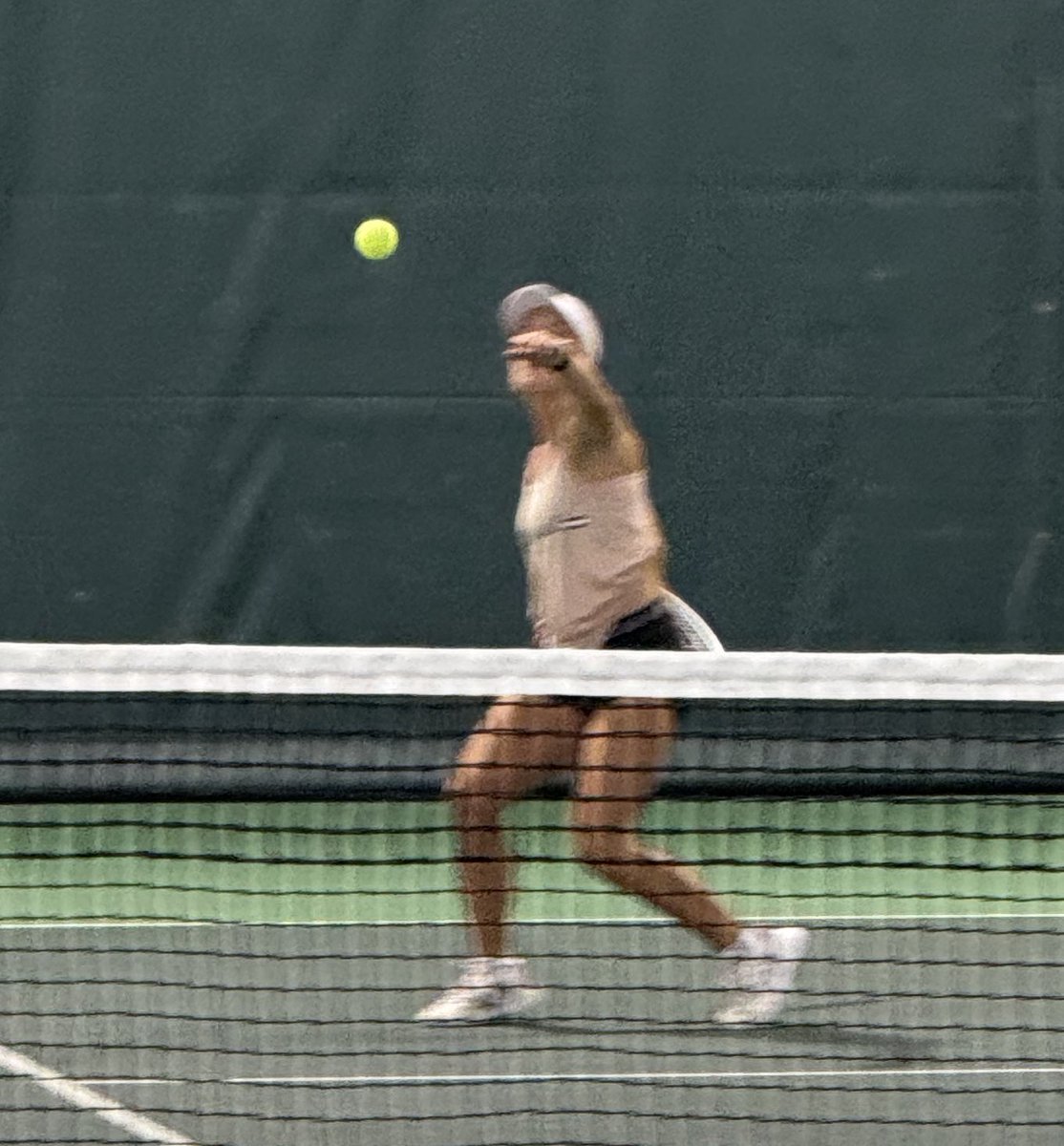 Bear At The Net tweet media