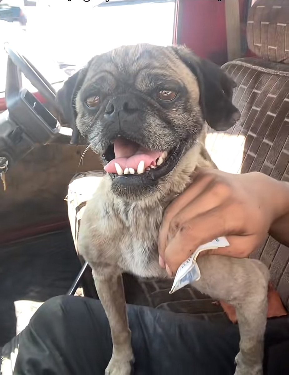 kanka reelde daha yakisikli diye arkadasimin gostedigi lavugun tipi