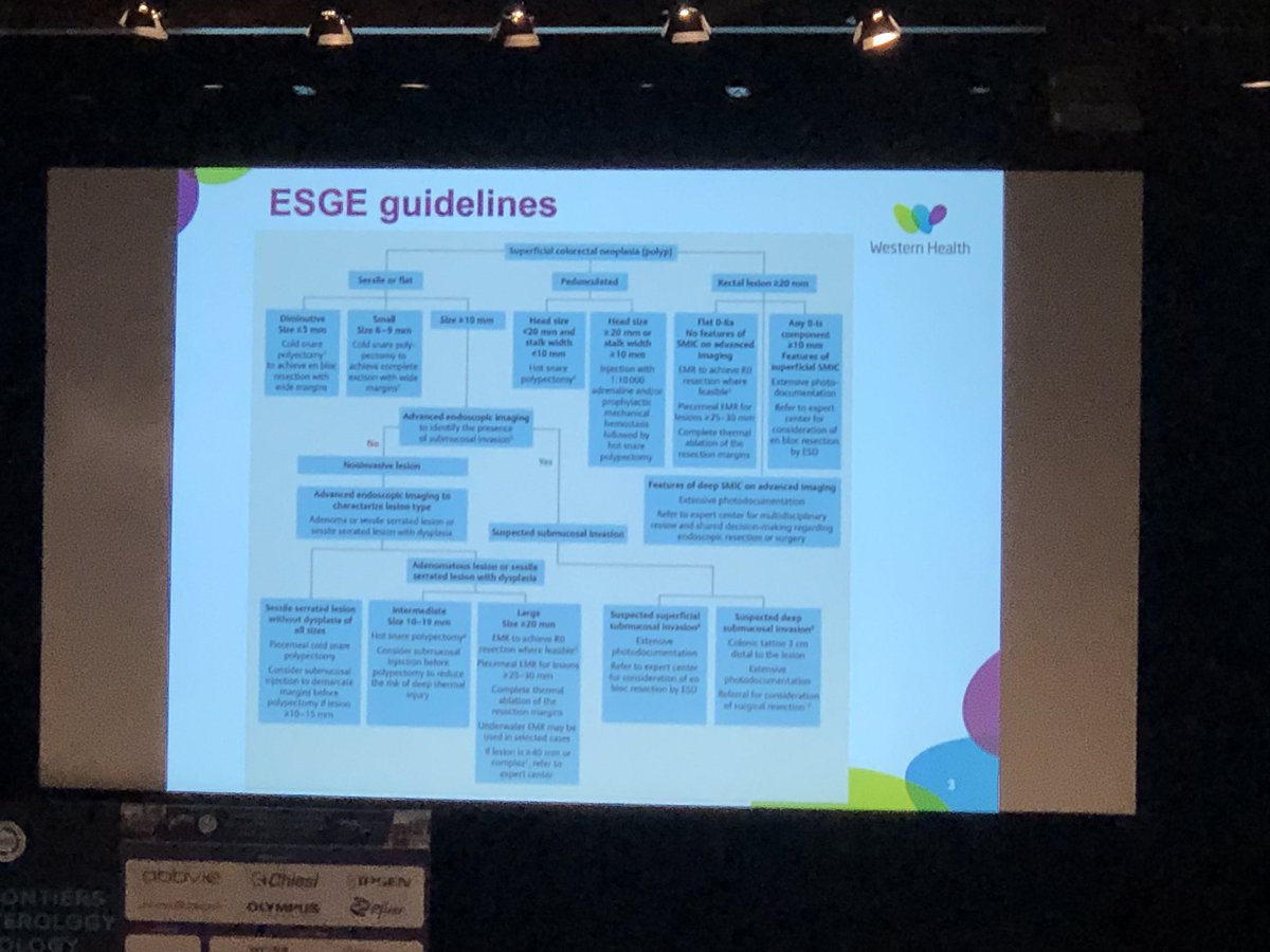 stevenbollipo's tweet photo. Colorectal polyp resection session
Day 2 of #WCOG25 #WCOG_AGW25
Once again, @ESGE_news guidelines are the highlight! https://t.co/3WYKCYMFSj