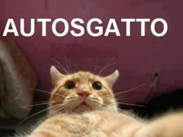 Valentino La Bella tweet media