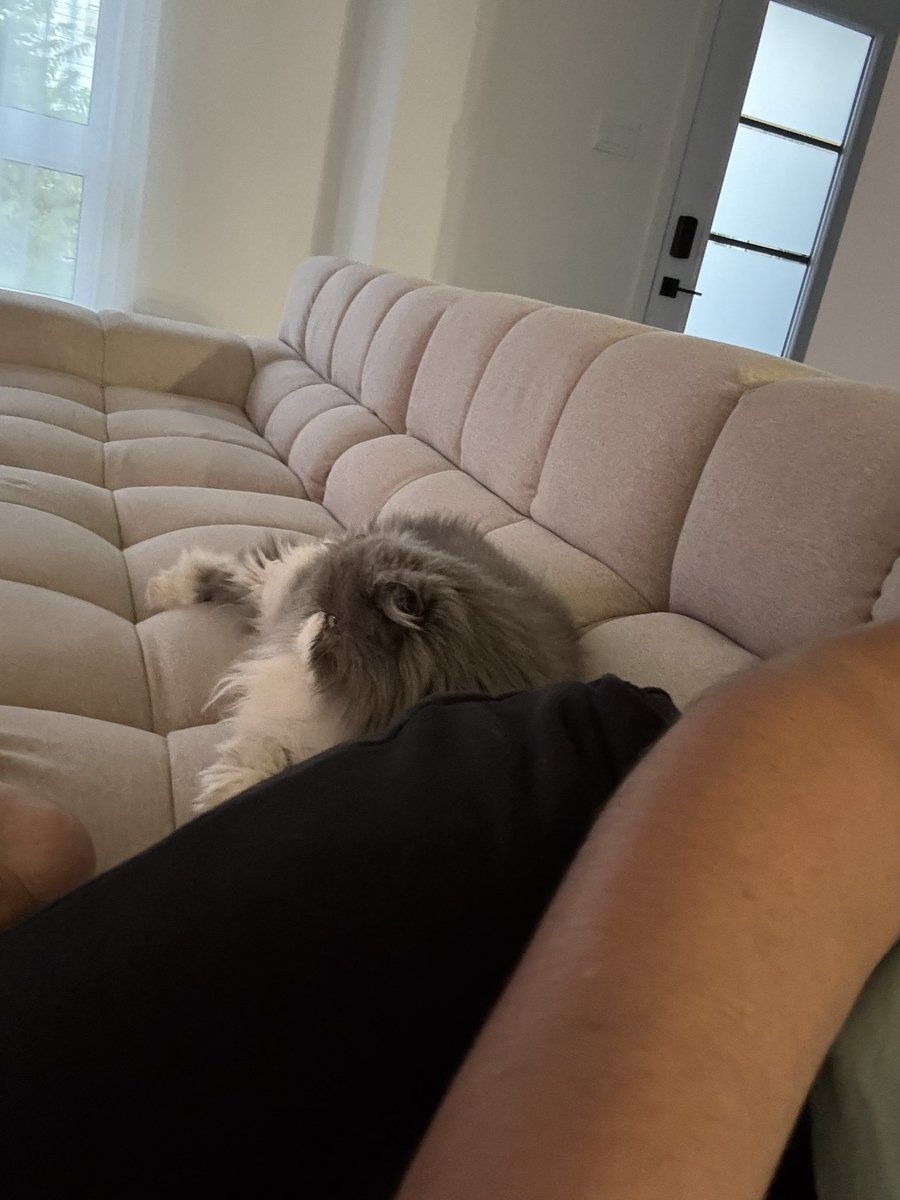 Aquí relax viendo tele con él 😍