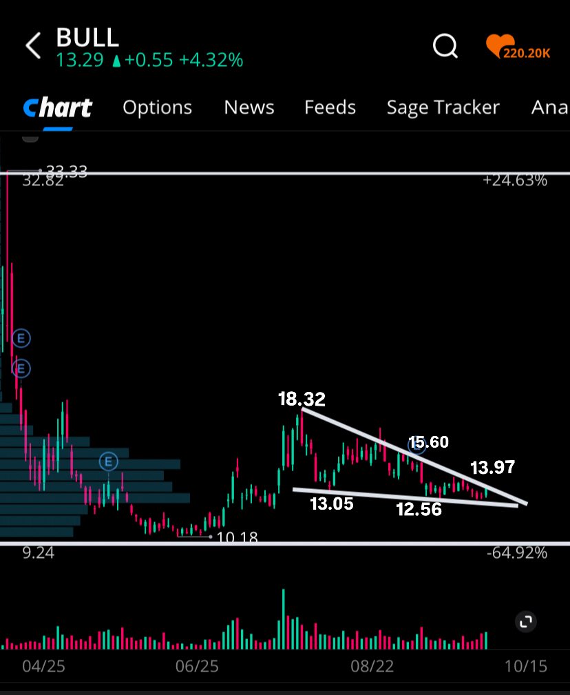 risenfit's tweet image. $BULL #WeBull