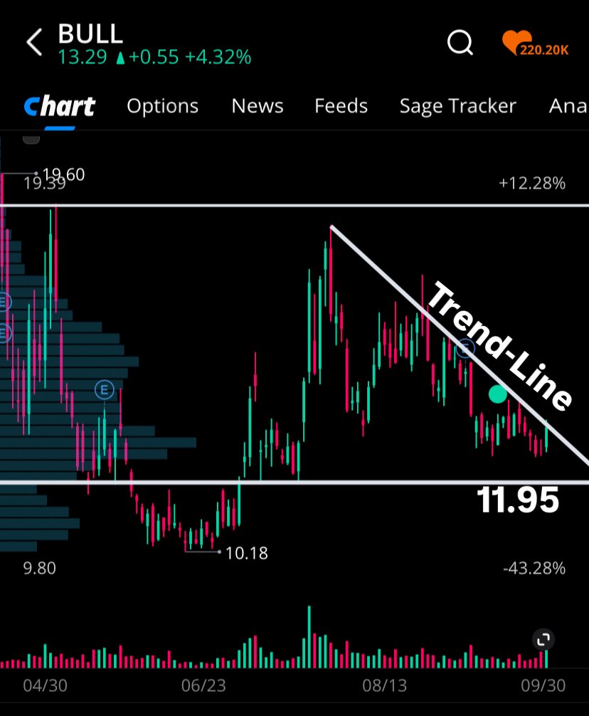 risenfit's tweet image. $BULL #WeBull