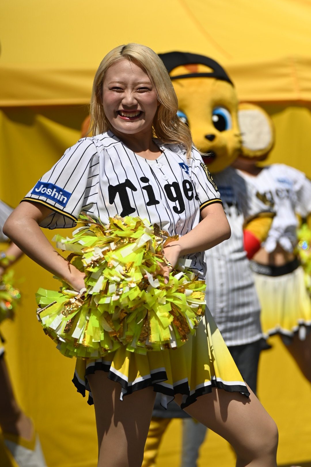 レア 甲子園出場 チア ウィンドブレーカー 和行 on X: 