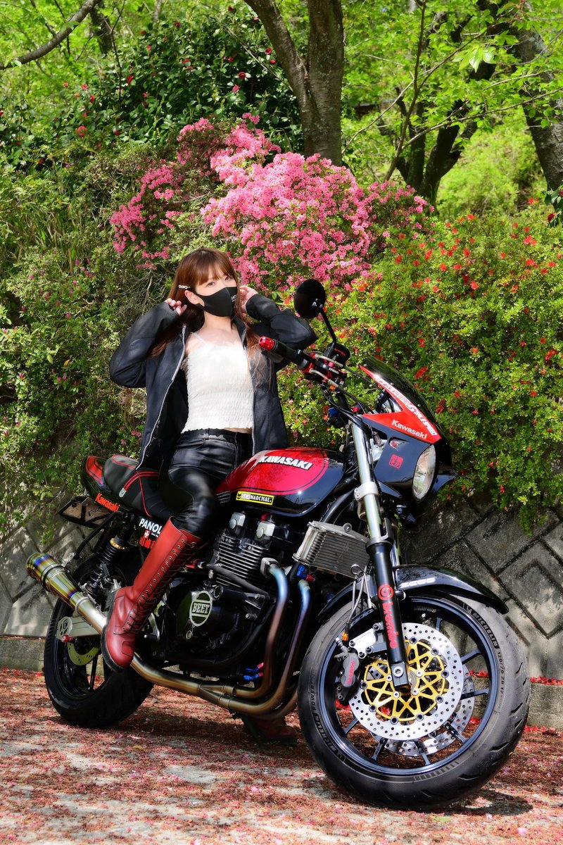 𝐒ちゃん🌸猫Photo Rider (@Kuroneko_S_chan) / X