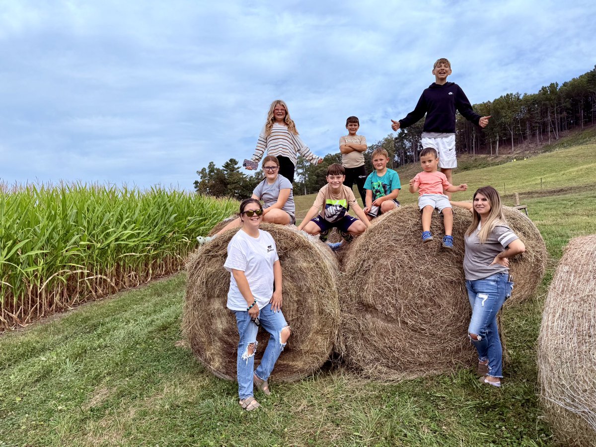 Ingrid Lemme tweet media