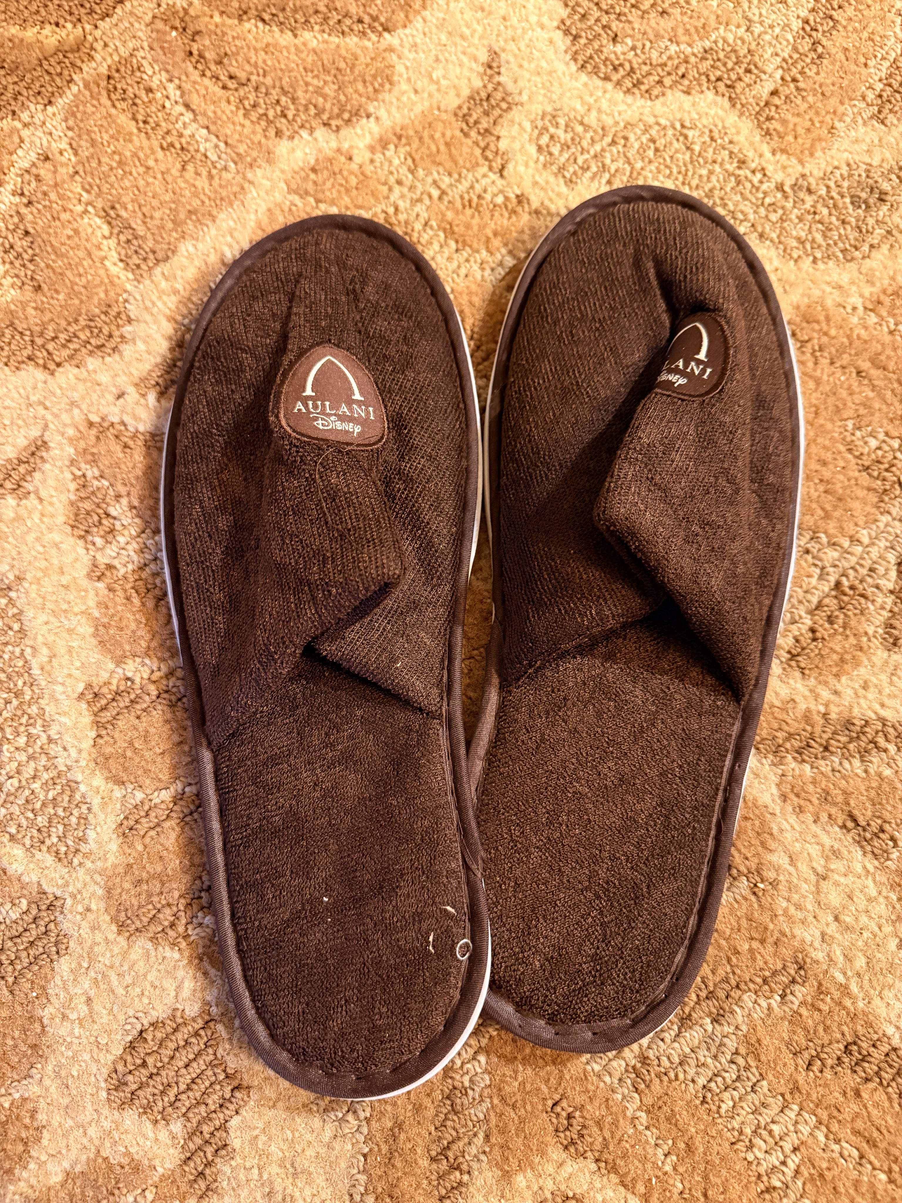 aulani - Search / X